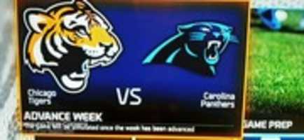 Free download Madden NFL 16 Chicago Tigers VS Carolina Panthers Teams Screenshot free photo or picture to be edited with GIMP online image editor