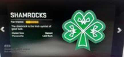 Free download Madden NFL 20 Dublin Shamrocks Team Screenshot free photo or picture to be edited with GIMP online image editor