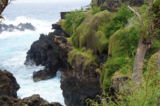 Free download Madeira Cliff Atlantic -  free photo or picture to be edited with GIMP online image editor