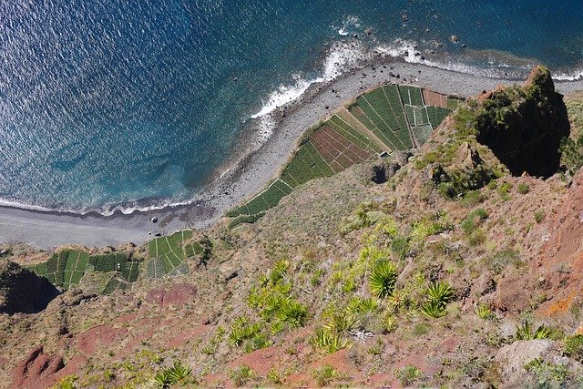 Free download Madeira Cliff Sea -  free photo or picture to be edited with GIMP online image editor