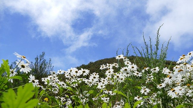 Free download Madeira Mountains Sky -  free photo or picture to be edited with GIMP online image editor