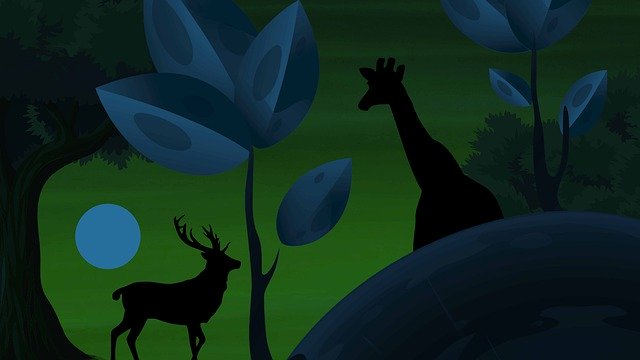 Free download Magical Night Deer -  free illustration to be edited with GIMP free online image editor