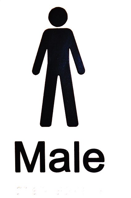 Free download Male Symbol Icon -  free illustration to be edited with GIMP free online image editor