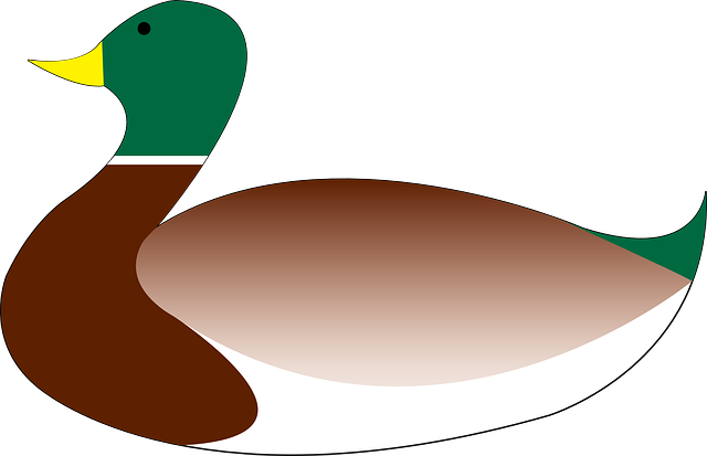 Free download Mallard Duck Bird - Free vector graphic on Pixabay free illustration to be edited with GIMP free online image editor