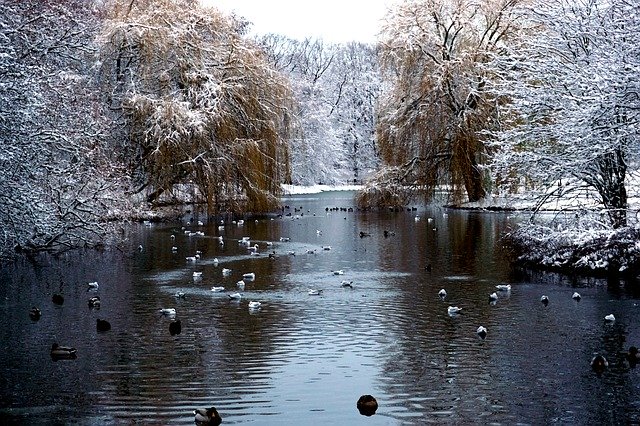 Free download Malmö Winter Sweden -  free photo or picture to be edited with GIMP online image editor