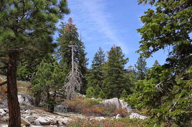 Free download Mammoth California Mountains -  free photo or picture to be edited with GIMP online image editor