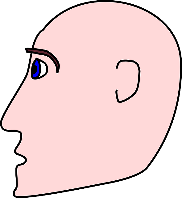 Free download Man Bald Head - Free vector graphic on Pixabay free illustration to be edited with GIMP free online image editor