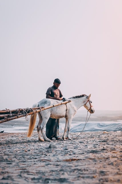 Free download man beach horse bangladesh free picture to be edited with GIMP free online image editor