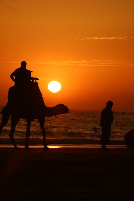 Free download man camel sunset beach morocco free picture to be edited with GIMP free online image editor