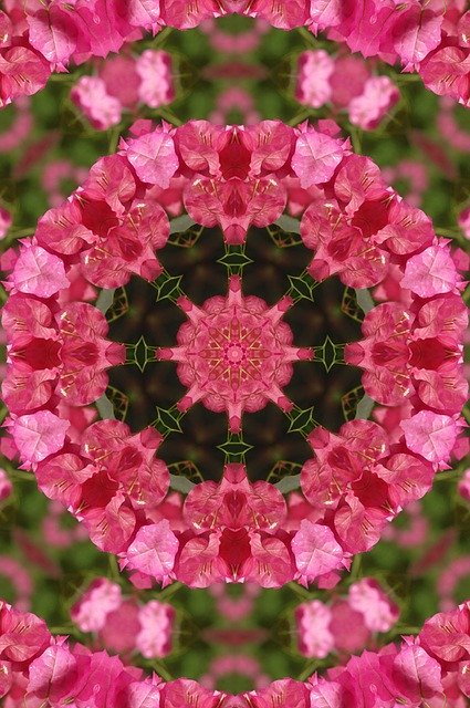 Free download Mandala Flower Floral -  free illustration to be edited with GIMP free online image editor