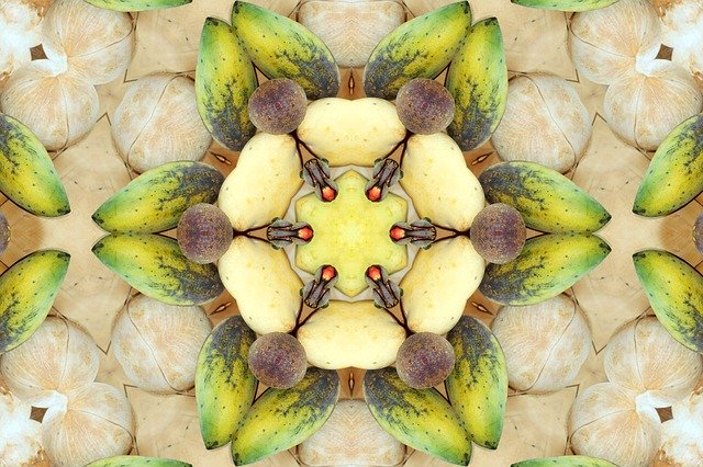 Free download Mandala Fruit Yantra -  free illustration to be edited with GIMP free online image editor