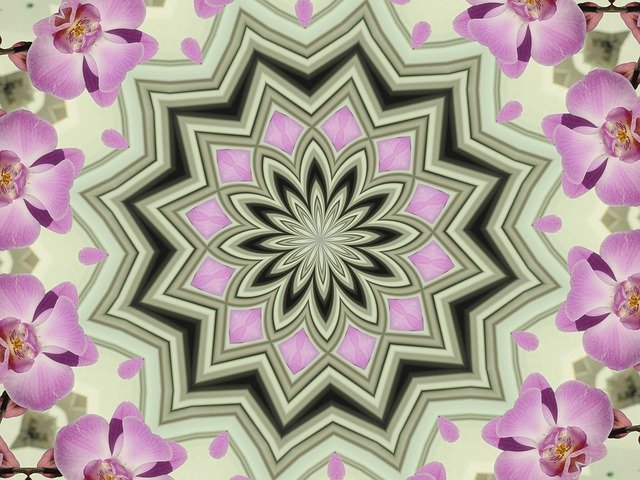 Free download Mandala Orchids Kaleidoscope -  free illustration to be edited with GIMP free online image editor