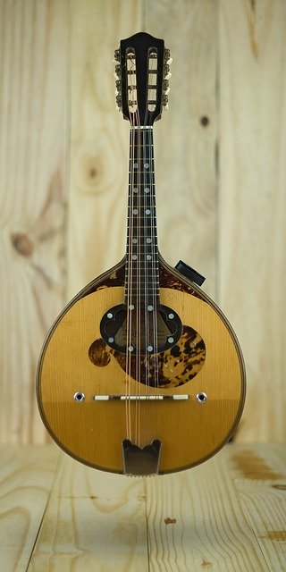 Free download Mandolin Instrument Acoustic -  free photo or picture to be edited with GIMP online image editor