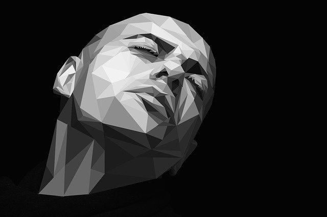 Free download Man Face Low Poly -  free illustration to be edited with GIMP free online image editor