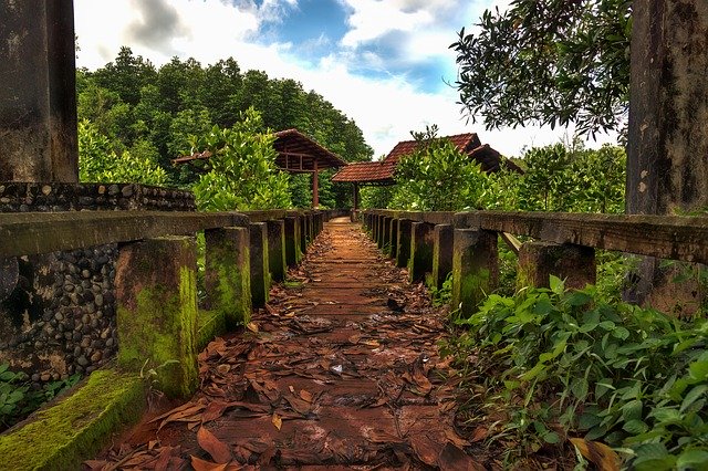 ດາວໂຫລດຟຣີ Mangroves Koh Chang ປະເທດໄທ - ຮູບພາບຫຼືຮູບພາບທີ່ບໍ່ເສຍຄ່າເພື່ອແກ້ໄຂດ້ວຍບັນນາທິການຮູບພາບອອນໄລນ໌ GIMP