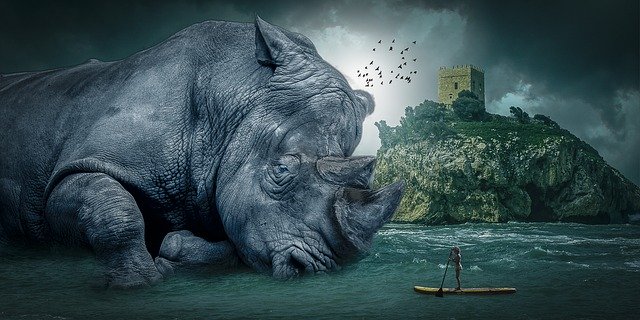 Free download Manipulation Animal Rhino -  free photo or picture to be edited with GIMP online image editor