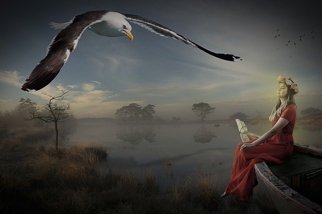 Free download Manipulation Gull Woman -  free photo or picture to be edited with GIMP online image editor
