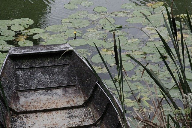 Free download Marais Poitevin Boat River -  free photo or picture to be edited with GIMP online image editor