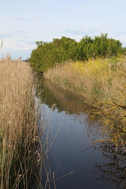 Free download Marais Poitevin Marsh Nature -  free photo or picture to be edited with GIMP online image editor