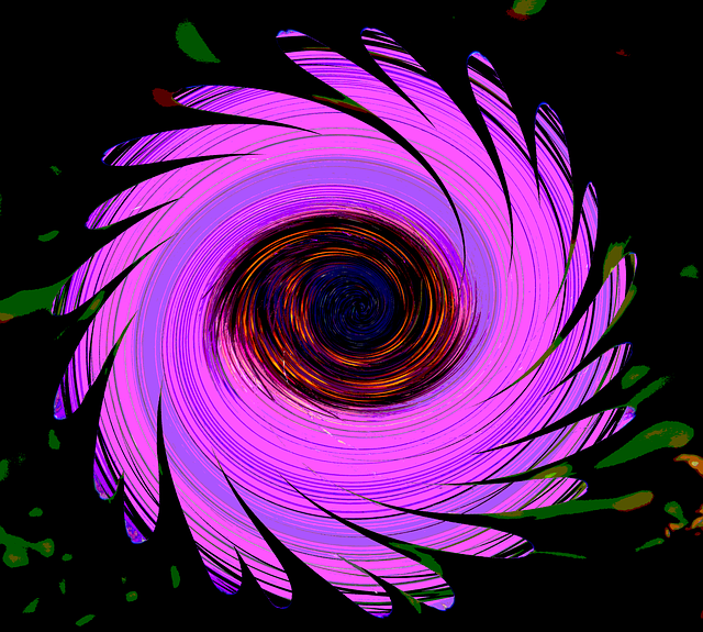 Free download Marguerite Pink Whirlpool -  free illustration to be edited with GIMP free online image editor