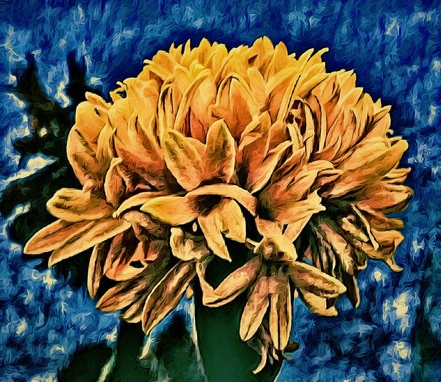 Free download Marigold Floral Flower -  free illustration to be edited with GIMP free online image editor