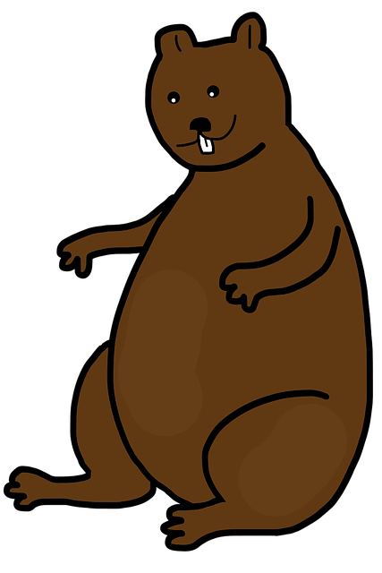 Free download Marmot Animal Rodent -  free photo or picture to be edited with GIMP online image editor