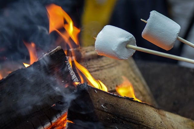 Free download marshmallow public holidays free picture to be edited with GIMP free online image editor