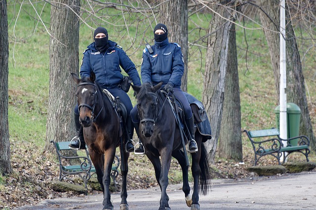 Free download masks horseback pandemic covid free picture to be edited with GIMP free online image editor