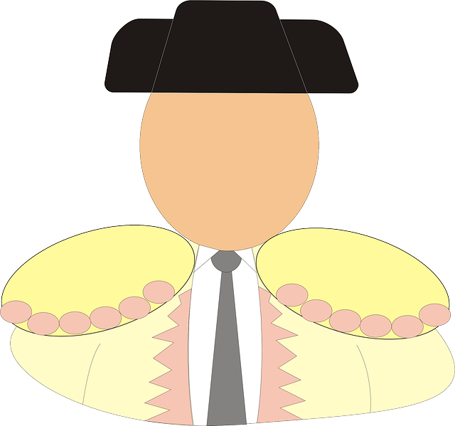 Free download Matador Bullfighter Man - Free vector graphic on Pixabay free illustration to be edited with GIMP free online image editor