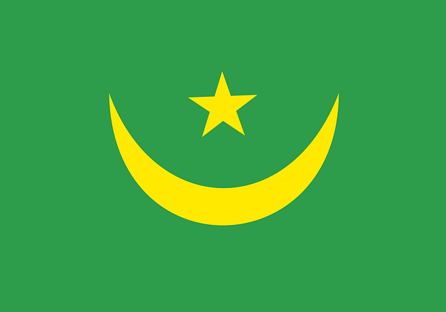 Free download Mauritania Flag National - Free vector graphic on Pixabay free illustration to be edited with GIMP free online image editor