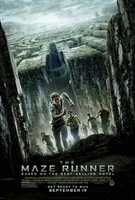 Free download Maze Runner - Film Poster free photo or picture to be edited with GIMP online image editor