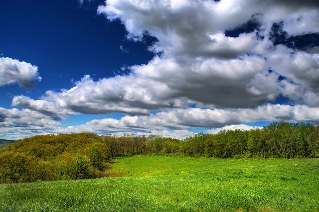 Free download Meadow Nature Landscape -  free photo or picture to be edited with GIMP online image editor