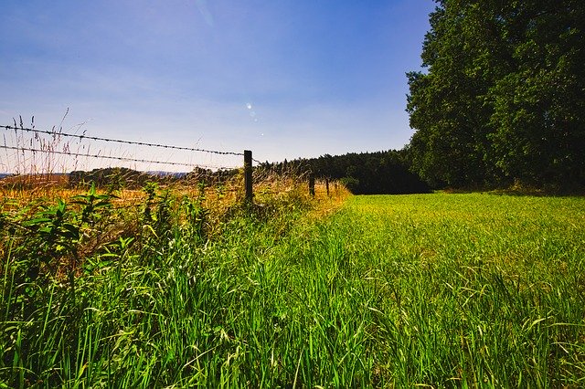 Free download Meadow Pasture Fence Sky -  free photo or picture to be edited with GIMP online image editor