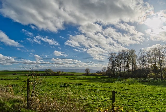 Free download meadow pasture green clouds nature free picture to be edited with GIMP free online image editor