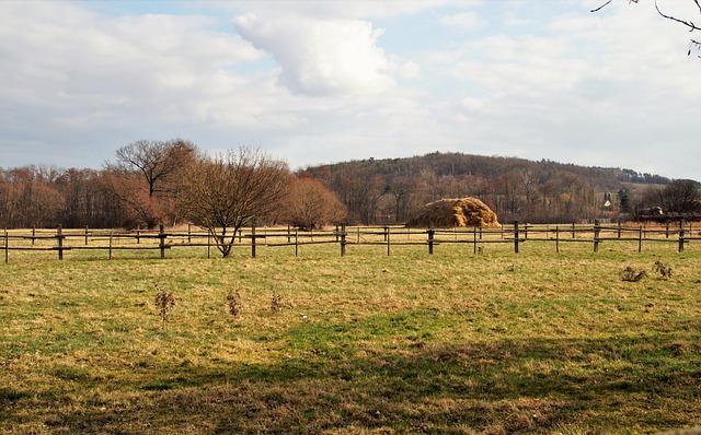 Free download meadow pasture silage countryside free picture to be edited with GIMP free online image editor