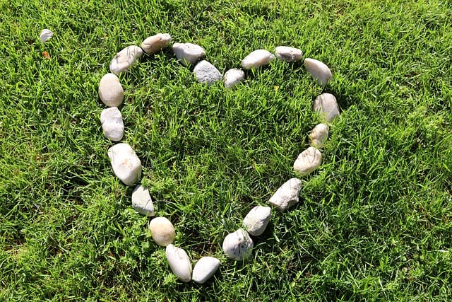 Free download meadow stones heart romantic free picture to be edited with GIMP free online image editor