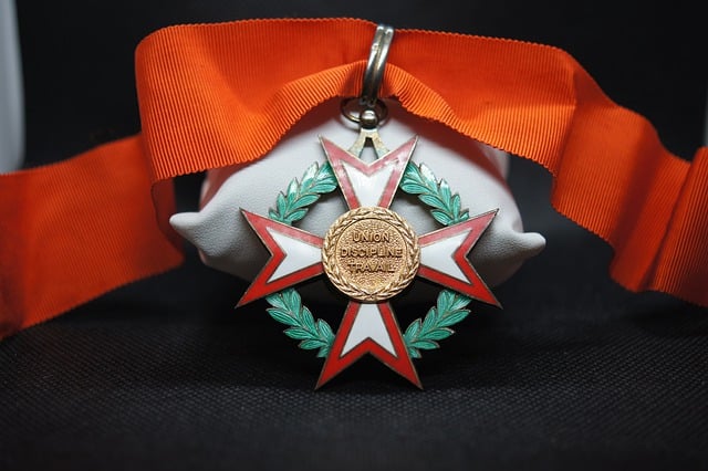 Free download medal award order ivory coast free picture to be edited with GIMP free online image editor