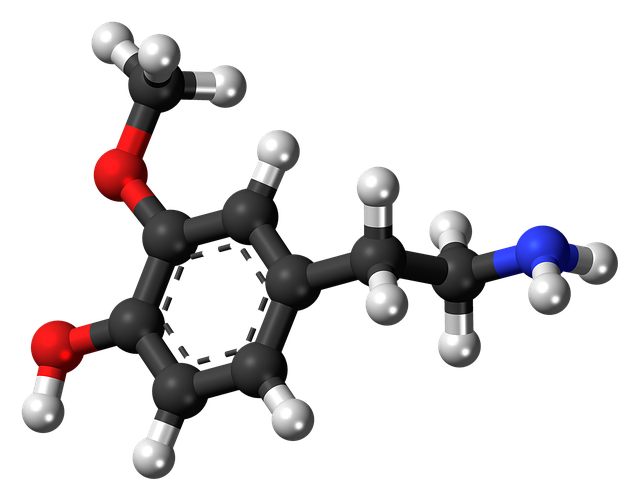 Free download Methoxytyramine Molecule Chemistry -  free illustration to be edited with GIMP free online image editor