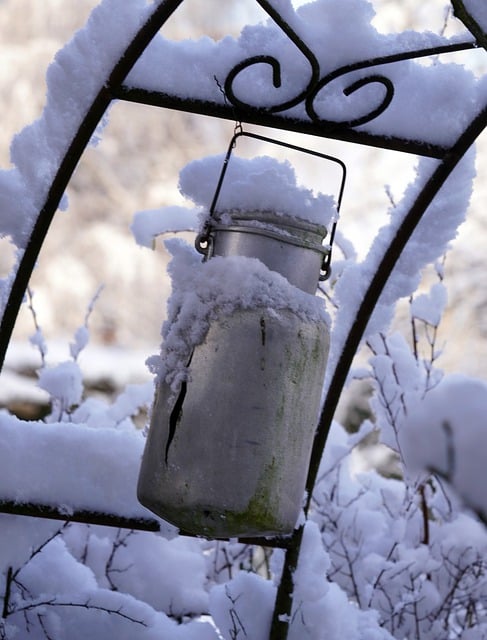 Free download milk can snow garden free picture to be edited with GIMP free online image editor