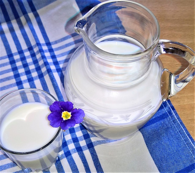 Free download milk glass glass jug drink free picture to be edited with GIMP free online image editor