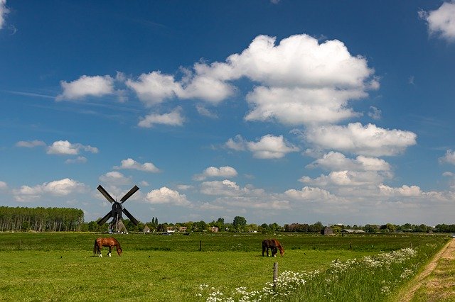 Free download Mill Landscape Wind -  free photo or picture to be edited with GIMP online image editor