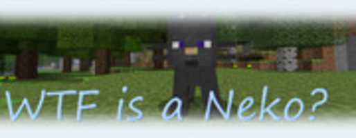 Free download Minecraft Modification: WTFisaNeko free photo or picture to be edited with GIMP online image editor