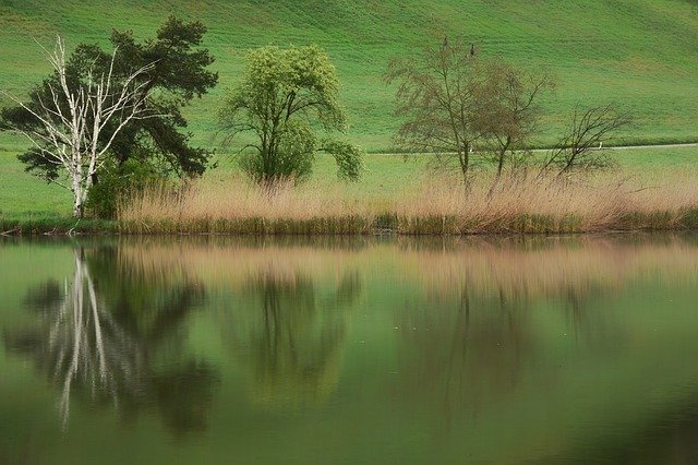 Free download Mirror Image Moor Lake -  free photo or picture to be edited with GIMP online image editor