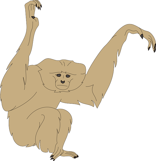 Free download Monkey Face Arms - Free vector graphic on Pixabay free illustration to be edited with GIMP free online image editor