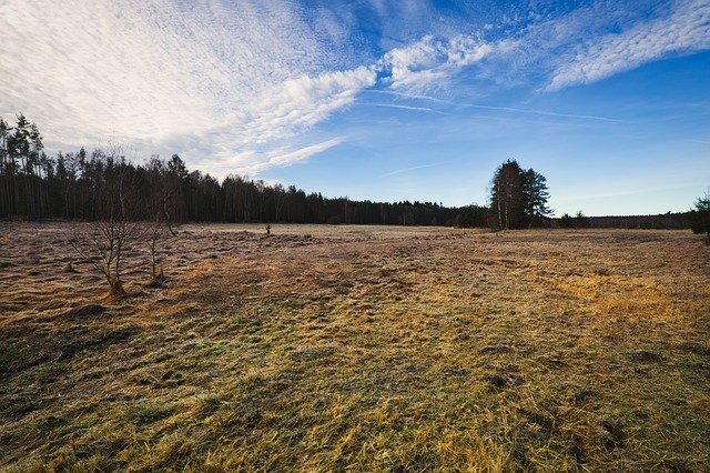 Free download Moor Landscape Meadow -  free photo or picture to be edited with GIMP online image editor