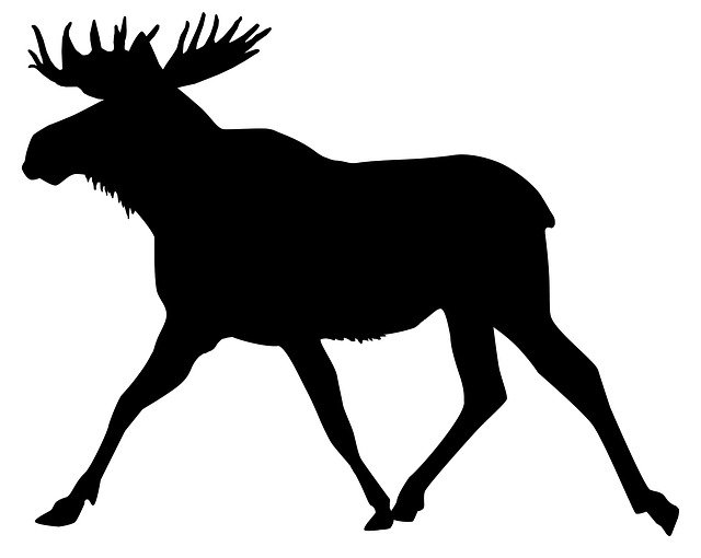 Free download Moose Cutout Sweden -  free illustration to be edited with GIMP free online image editor