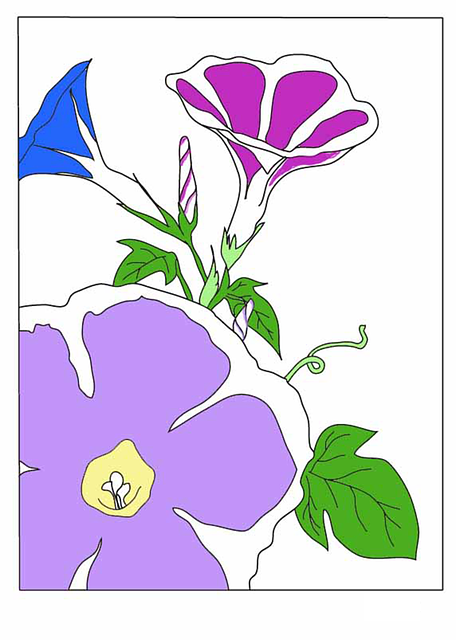 Free download Morning Glory Summer Flowers Japan -  free illustration to be edited with GIMP free online image editor