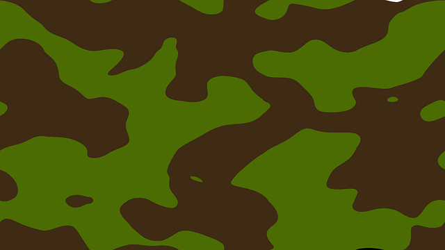 Free download Moro Mora Camouflage -  free illustration to be edited with GIMP free online image editor