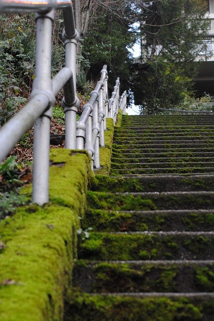 Free download Moss Mossy Staircase -  free photo or picture to be edited with GIMP online image editor