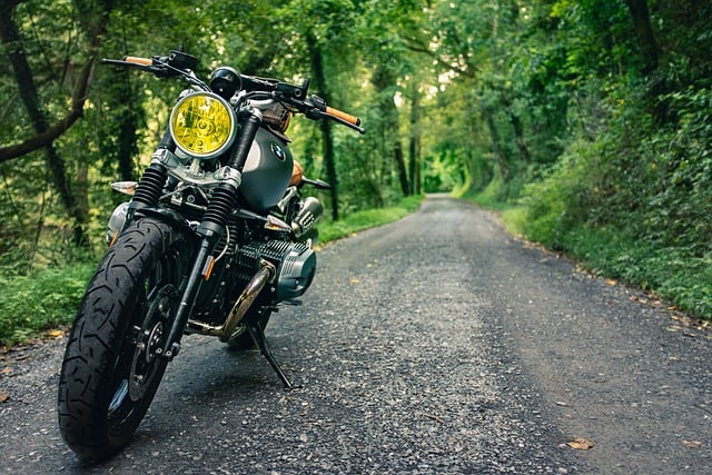 Free download motorbike forest road trees free picture to be edited with GIMP free online image editor